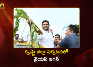 కృష్ణా జిల్లా పర్యటనలో మాజీ సీఎం వైయస్ జగన్.. తుఫాన్ ప్రభావిత ప్రాంతాల సందర్శన Ex-CM YS Jagan Tours Crop Loss Fields in Krishna District Post Montha Cyclone