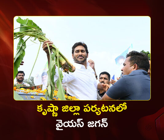 Ex-CM YS Jagan Tours Crop Loss Fields in Krishna District Post Montha Cyclone