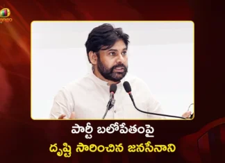 Jana Sena Chief Pawan Kalyan Focuses on Strengthening Party Committees