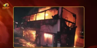 Saudi Bus Crash Umrah Bus Hits Diesel Tanker, 42 Indian Pilgrims Lost Lives