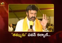 ‘తమ్ముడు’ పవన్ కల్యాణ్.. బాలకృష్ణ కామెంట్స్ వైరల్ TDP MLA Nandamuri Balakrishna’s Remarks on Dy CM Pawan Kalyan Goes Viral