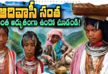 The Hidden Treasures of Tribal Communities in the Mountains