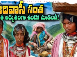 The Hidden Treasures of Tribal Communities in the Mountains