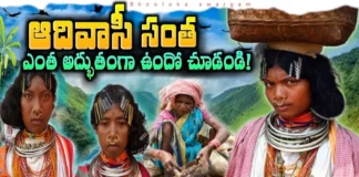 The Hidden Treasures of Tribal Communities in the Mountains