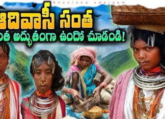 కొండల నుంచి సంతలోకి: ఆదివాసీల అద్భుత ప్రపంచం! The Hidden Treasures of Tribal Communities in the Mountains