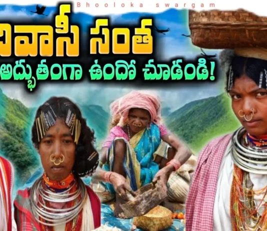 The Hidden Treasures of Tribal Communities in the Mountains