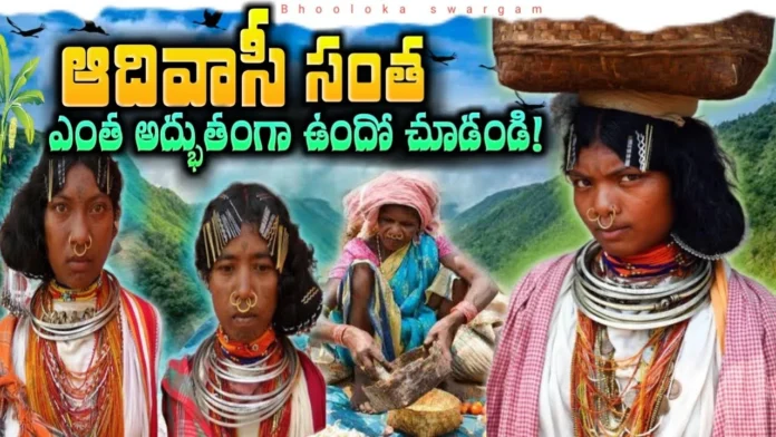 The Hidden Treasures of Tribal Communities in the Mountains