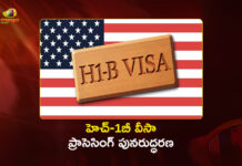 US Resumes H-1B and PERM Visa Processing, DOL Warns of Potential Delays