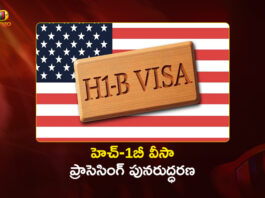 US Resumes H-1B and PERM Visa Processing, DOL Warns of Potential Delays