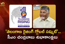తెలంగాణ రైజింగ్ గ్లోబల్ సమ్మిట్.. శుభాకాంక్షలు తెలిపిన ఏపీ సీఎం చంద్రబాబు AP CM Chandrababu Naidu Tweets in Support of Telangana Rising Global Summit