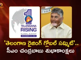 AP CM Chandrababu Naidu Tweets in Support of Telangana Rising Global Summit