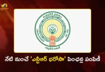 AP Govt Begins NTR Bharosa Distribution One Day Early on New Year Gift For Pensioners