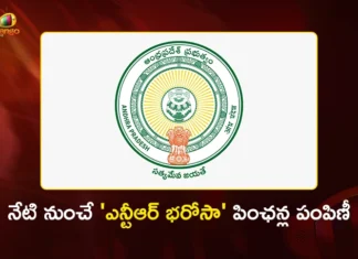 AP Govt Begins NTR Bharosa Distribution One Day Early on New Year Gift For Pensioners