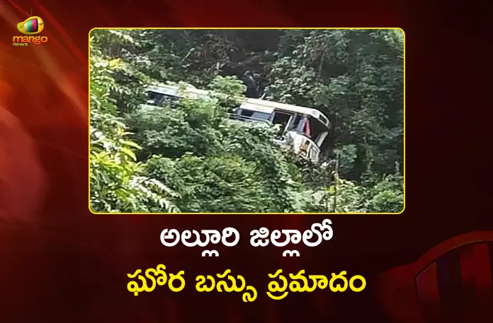 Alluri District Bus Skids into Gorge, 10 Passengers Lost Lives and 20 Injured Alluri District Bus Skids into Gorge, 10 Passengers Lost Lives and 20 Injured