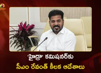 CM Revanth Reddy Directs Hydra Commissioner to Organise 3-Day Kite Festival During Sankranti