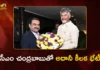 సీఎం చంద్రబాబుతో గౌతమ్ అదానీ భేటీ.. రాష్ట్రంలో పెట్టుబడులపై కీలక చర్చలు Gautam Adani Meets CM Chandrababu Naidu To Discuss Investments in AP