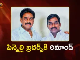 Pinnelli Brothers Surrendered in Macherla Court, Remands Until Dec 24th