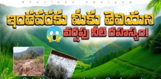 Rainwater The Ultimate Liquid Gold for Your Plants