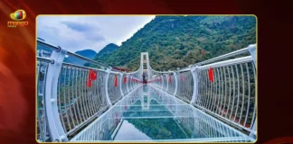 Visakhapatnam Gears Up For Tourism, Rs.7 Cr Glass Bridge Opened at Kailasagiri