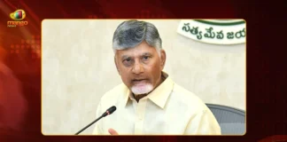CM Chandrababu Key Orders on Amaravati-Anantapur Greenfield Expressway