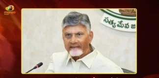 CM Chandrababu Naidu Serious Review Over Errors in Re-Survey and Land Passbooks