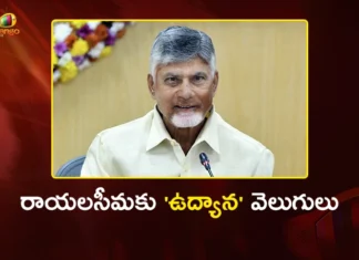 సీమ రైతులకు సీఎం చంద్రబాబు గుడ్ న్యూస్ CM Chandrababu Plans Horticulture Clusters in Rayalaseema, Godavari Water to North Andhra