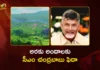 CM Chandrababu Promotes AP Globally, Araku Beauty Tweet Goes Viral
