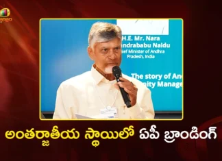 అంతర్జాతీయ స్థాయిలో ఏపీ బ్రాండింగ్.. దావోస్ వేదికగా సీఎం చంద్రబాబు మాస్టర్ ప్లాన్ CM Chandrababu Promotes AP Grand Branding as Investment Hub at Davos