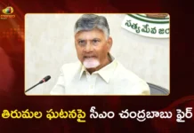 ఆధ్యాత్మిక విధ్వంసానికి జగన్ కుట్ర.. తిరుమల ఘటనపై సీఎం చంద్రబాబు నిప్పులు CM Chandrababu Slams YS Jagan Over Spiritual Vandalism at Tirumala