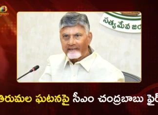 CM Chandrababu Slams YS Jagan Over Spiritual Vandalism at Tirumala