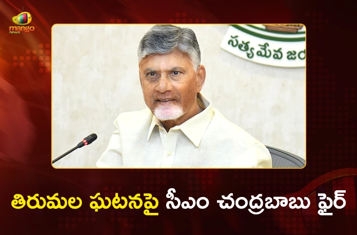 CM Chandrababu Slams YS Jagan Over Spiritual Vandalism at Tirumala CM Chandrababu Slams YS Jagan Over Spiritual Vandalism at Tirumala