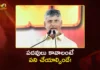 CM Chandrababu Warns TDP Leaders, Improve Performance or Step Down