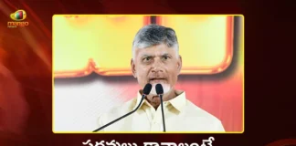 CM Chandrababu Warns TDP Leaders, Improve Performance or Step Down