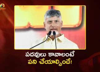 CM Chandrababu Warns TDP Leaders, Improve Performance or Step Down
