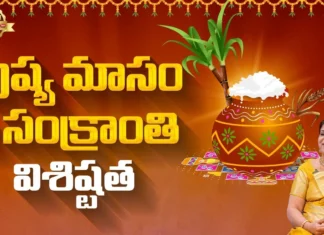Discover the hidden meanings of Sankranti - A Special feature by Srivani Gorantla