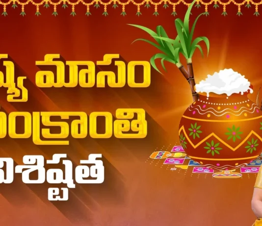 Discover the hidden meanings of Sankranti - A Special feature by Srivani Gorantla