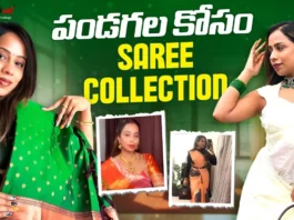 Festive Saree Collection by Vlogger Santhi ,Trending Blouse Designs & Styling Tips