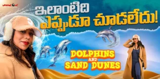 Life of Santhi - Sydney Trip Amazing highlights from dolphin cruising to sand boarding