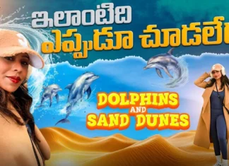 Life of Santhi - Sydney Trip Amazing highlights from dolphin cruising to sand boarding