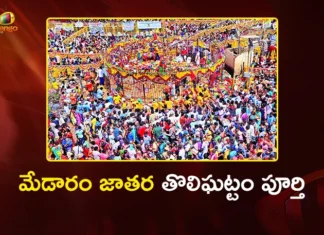 కొలువుదీరిన దేవతలు: గద్దెపైకి చేరుకున్న సారలమ్మ, పగిడిద్దరాజు, గోవిందరాజులు Medaram Jatara 2026 Sarakka, Pagididda Raju, and Govinda Raju Reside on Gaddelu