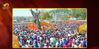 Medaram Mandamelige Rituals Begins Today Ahead of Sammakka-Saralamma Jathara