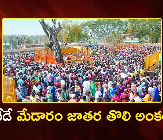 Medaram Mandamelige Rituals Begins Today Ahead of Sammakka-Saralamma Jathara