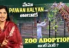 Pawan Kalyan's New Step in Wildlife Conservation What Exactly is Zoo Adoption