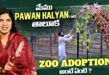 Pawan Kalyan's New Step in Wildlife Conservation What Exactly is Zoo Adoption