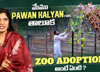 Pawan Kalyan's New Step in Wildlife Conservation What Exactly is Zoo Adoption