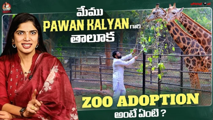 Pawan Kalyan's New Step in Wildlife Conservation What Exactly is Zoo Adoption Pawan Kalyan's New Step in Wildlife Conservation What Exactly is Zoo Adoption