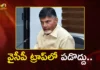 CM Chandrababu Directs TDP Leaders to Maintain Restraint Amid Political Tension in AP