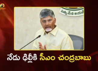 నేడు ఢిల్లీకి సీఎం చంద్రబాబు.. కేంద్ర హోంమంత్రి అమిత్ షాతో రేపు కీలక భేటీ CM Chandrababu Heads to Delhi for Meetings with Amit Shah and Other Union Ministers