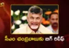 సీఎం చంద్రబాబుకు బిగ్ రిలీఫ్.. స్కిల్ కేసులో ఈడీ క్లీన్ చిట్ CM Chandrababu Naidu Got Clean Chit From ED in AP Skill Development Case
