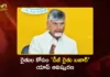 CM Chandrababu Naidu Launches DG Rythu Bazar App For Digital Farming